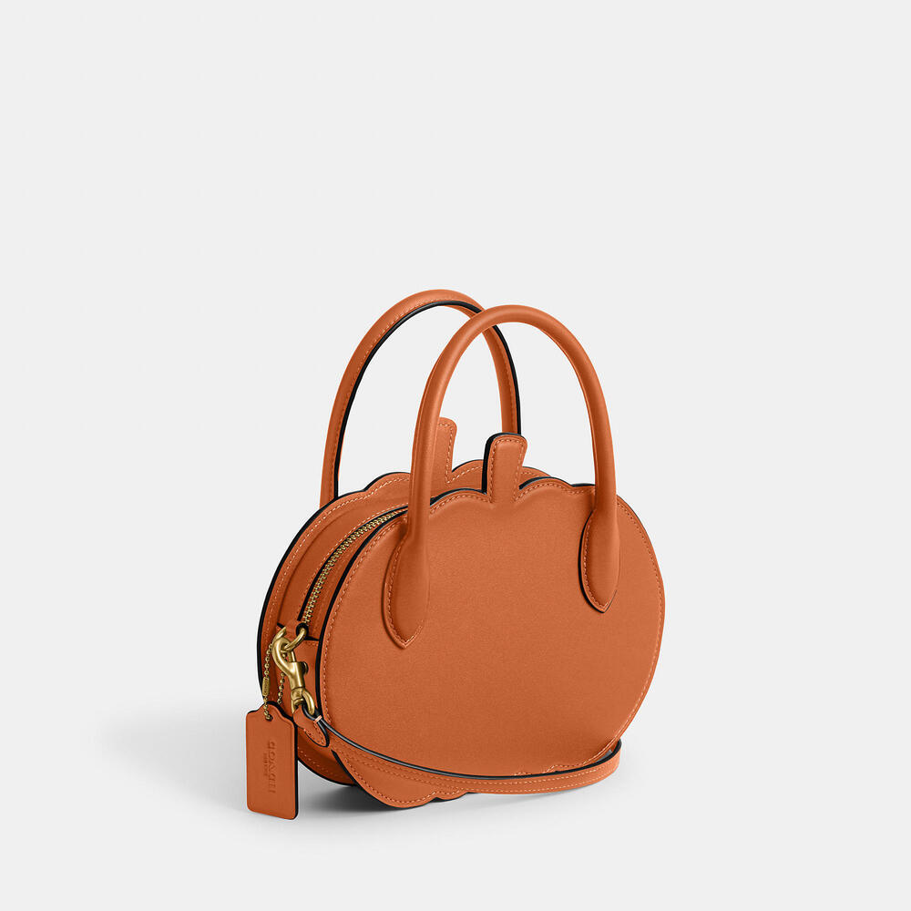 Coach Pumpkin Bag